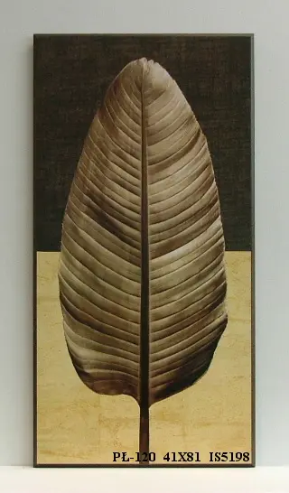 PŁ-120 41X81 IS5198