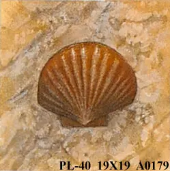 PŁ-40 19 X 19 A0179
