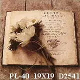 PŁ-40 19X19 D2541