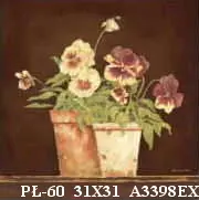 PŁ-60 31X31 A3398EX