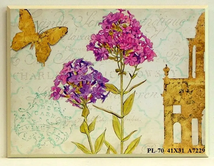 PŁ-70 41X31 A7229