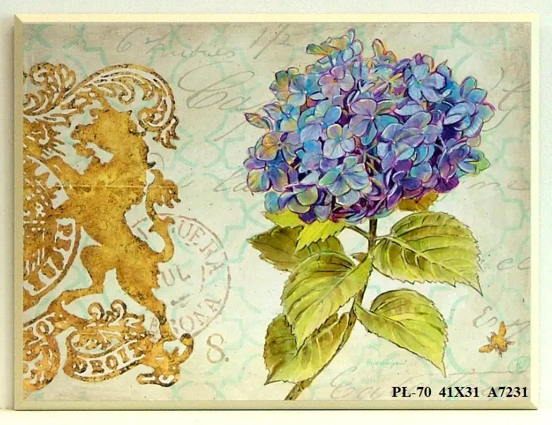 PŁ-70 41X31 A7231