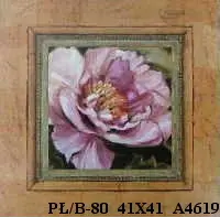 PŁ/B-80 41X41 A4619