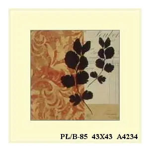 PŁ/B-85 43X43 A4234