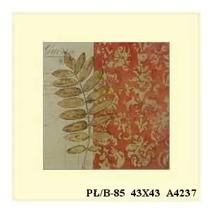 PŁ/B-85 43X43 A4237