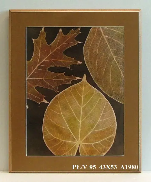 PŁ/V-95 43X53 A1980