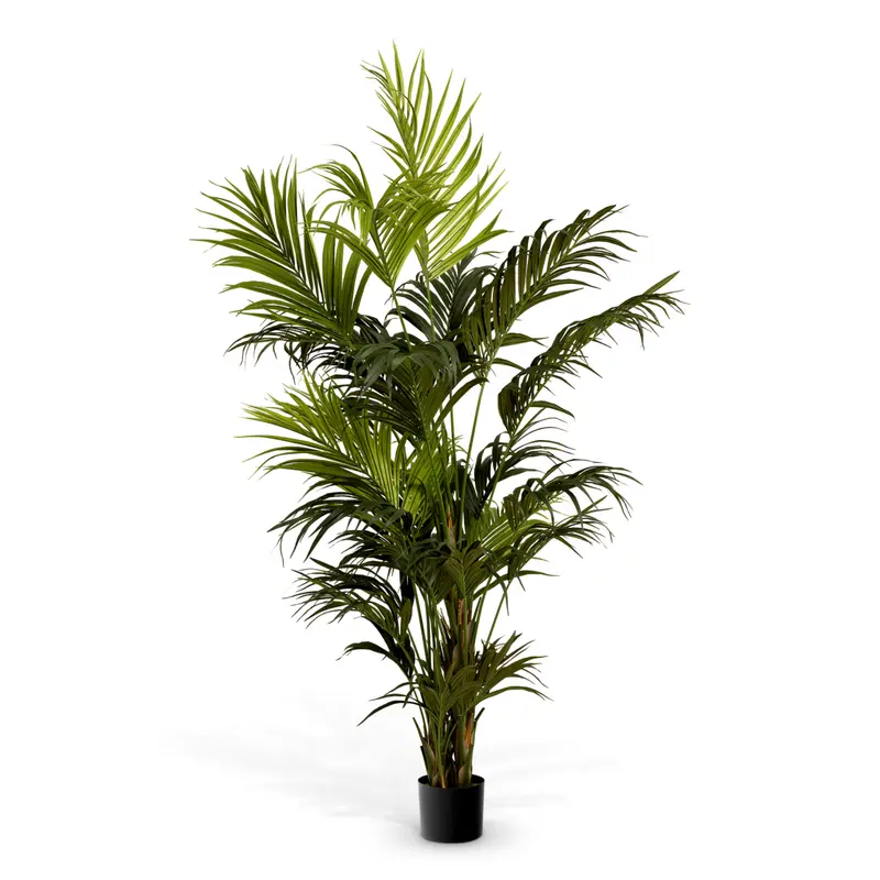 Roślina sztuczna Kentia Palm, zielona