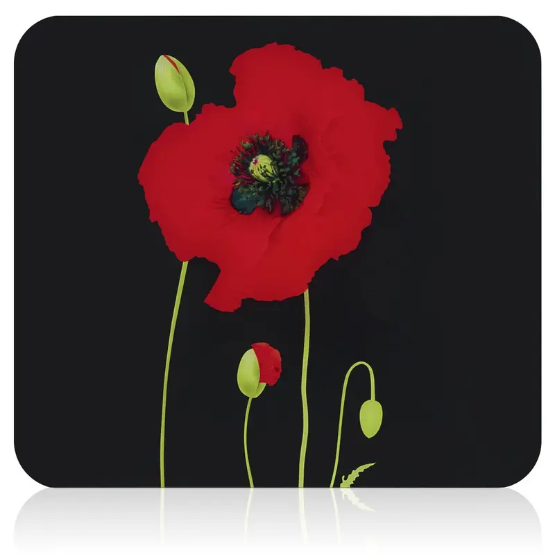 Szklana płyta kuchenna, 56 x 50 cm, POPPY, Maximex