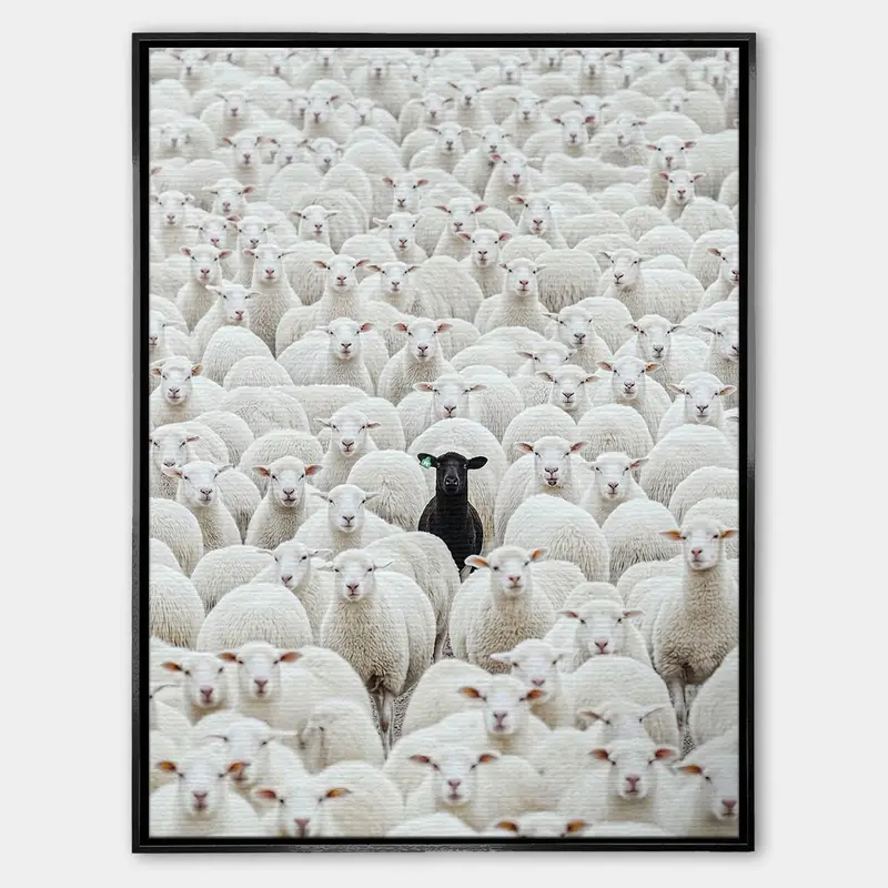 The Black Sheep
