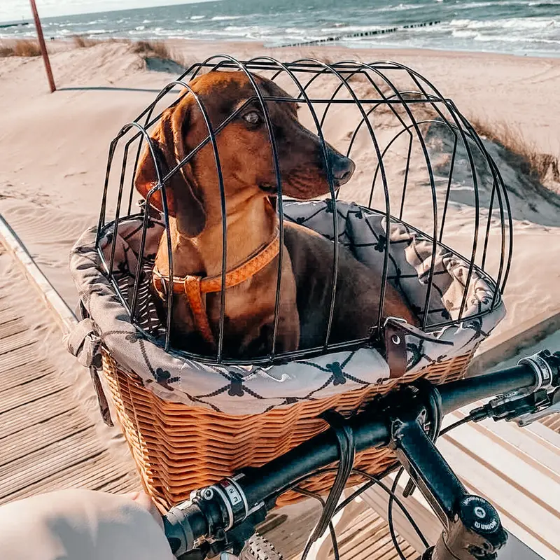 Timoria wicker bike basket for dog and cat with cushion, pet bike carrier with lockable metal grille TheWickerStories